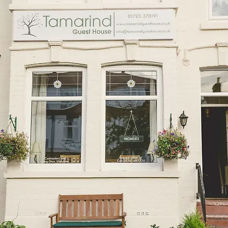 Tamarind